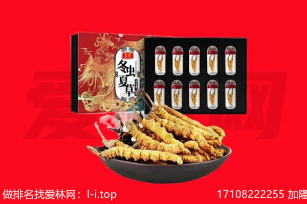 伊春市友好回收虫草.jpg